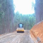 Estrada de acesso produtores rurais, obra realizada em Ipanema MG, extensão 6km